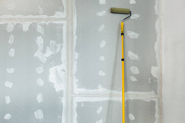 Best Drywall Sanding and Smoothing  in Bluffton, IN